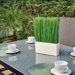 בית נופש Casa